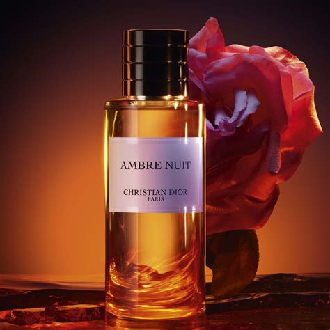 chanel ambre nuit|Ambre Nuit Dior perfume: the unisex amber floral fragrance.